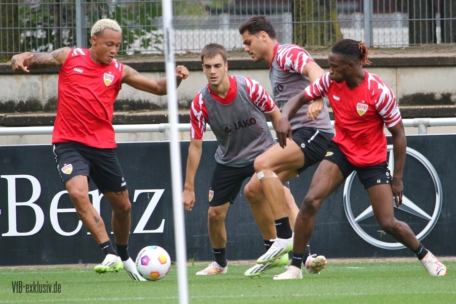 vfb13082310