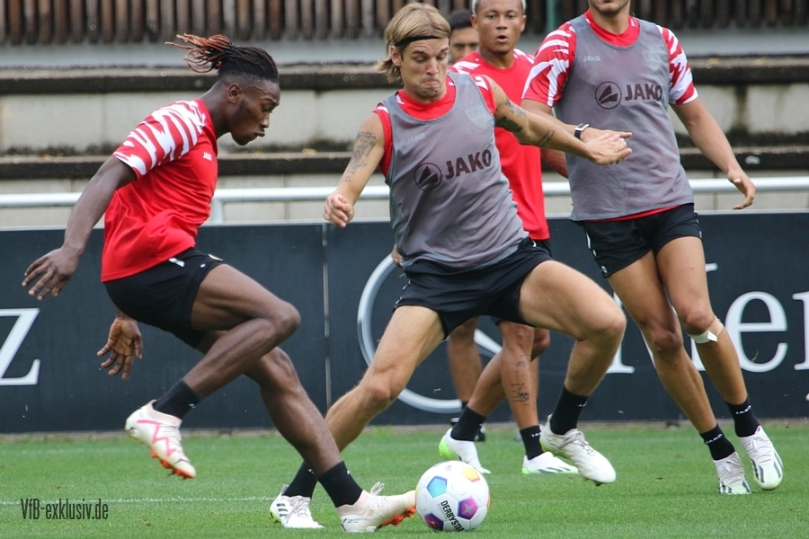 vfb13082311