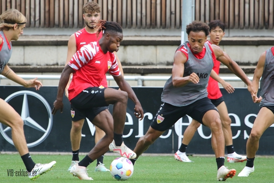 vfb13082312
