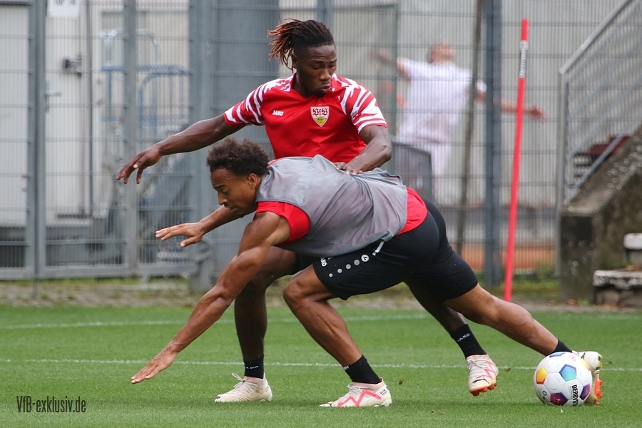 vfb13082313