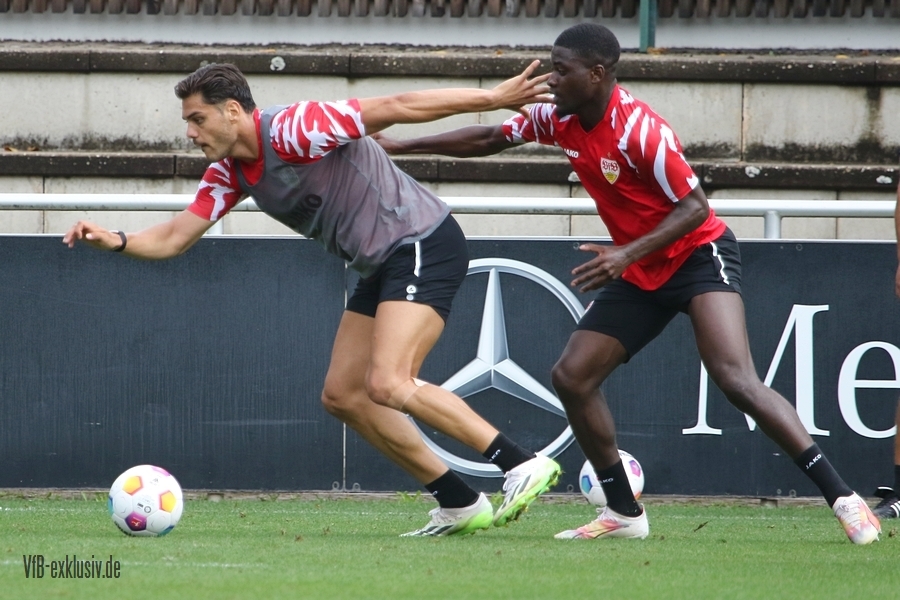 vfb13082315
