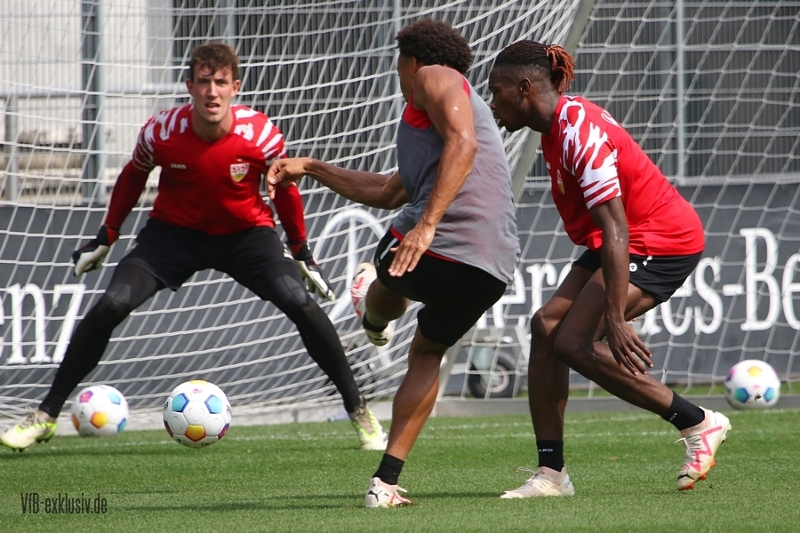 vfb13082316