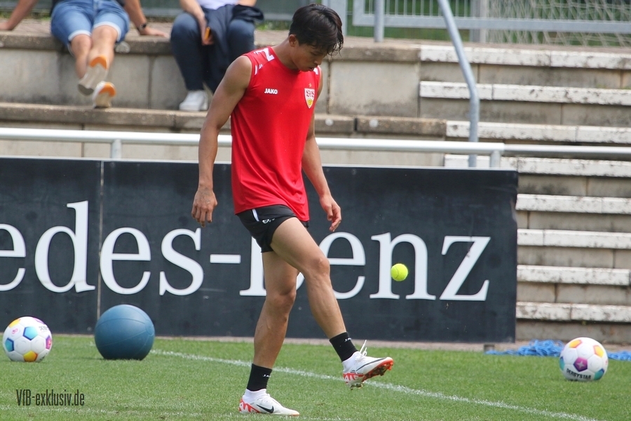 vfb13082318