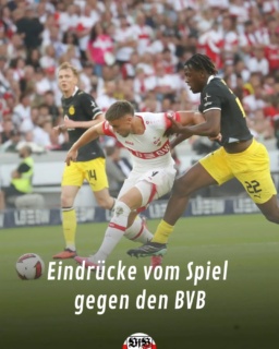 Die Bilder vom Spiel