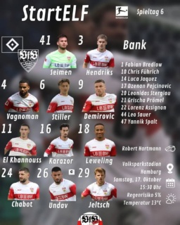 Der VfB spielt in Hamburg mit folgenden Aufstellung. Seit ihr damit einverstanden? Oder was hättet ihr geändert?