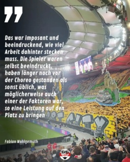Auch Fabian Wohlgemuth war geflasht von der Choreo und sieht einen Zusammenhang zwischen der Performance auf den Rängen und der auf dem Rasen. (StN)